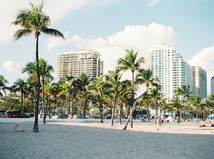 Escursione Everglades con Opzione Tour della Città di Miami