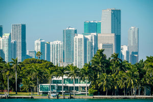 Escursione Everglades con Opzione Tour della Città di Miami