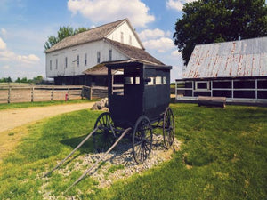 ESCURSIONE - Philadelphia e contea Amish in un giorno
